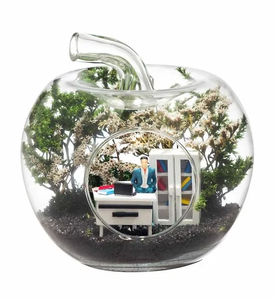 Teraryum Mini Yeni İş Erkek