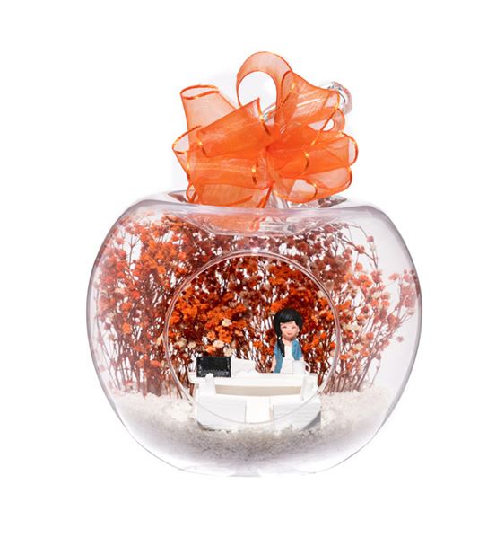 Teraryumyeni İşinde Başarılar - Oranj - Esmer Mavi