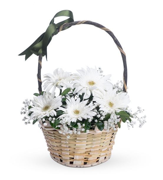 Huzur Esintisi 5 Beyaz Gerbera Çiçek Sepeti