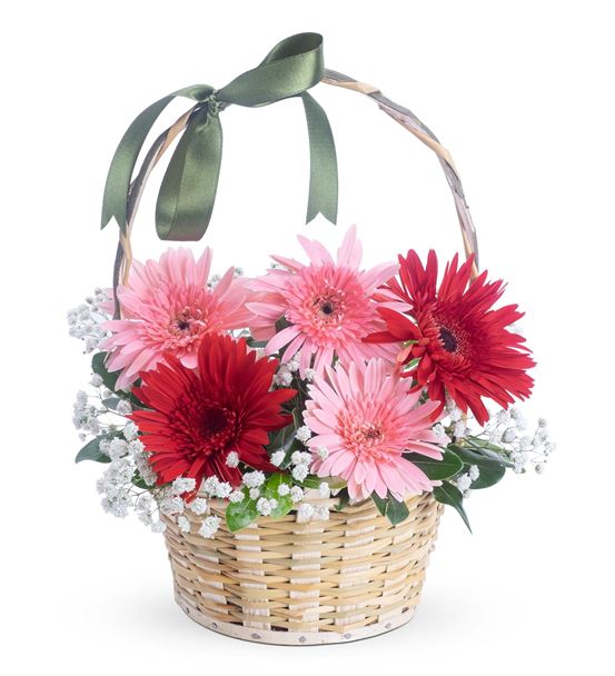 Sevimli 2 Kırmızı 3 Pembe Gerbera Çiçek Sepeti